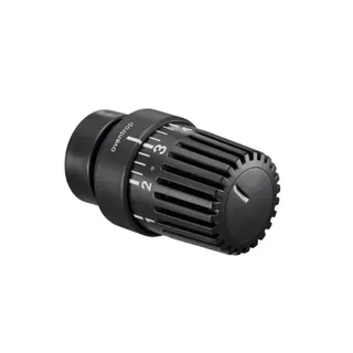 Oventrop Thermostat Uni LH anthrazit mit Decoring, 101 14 67
