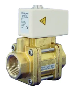 BWT AQAstop mit kabelgeb. Wassersensor DN 25, 1 IG, PN 0,5-10 bar, 230 V – Bild 2