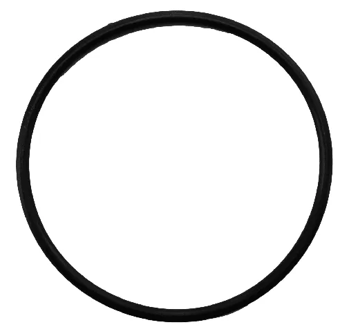 UWS O-Ring für Gehäuse Home, 100324
