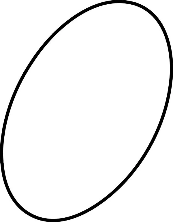 IS O-Ring (A912644)