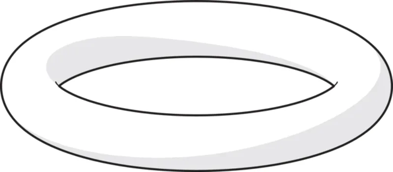O-Ring HANSA 59905095 9.00x2.00