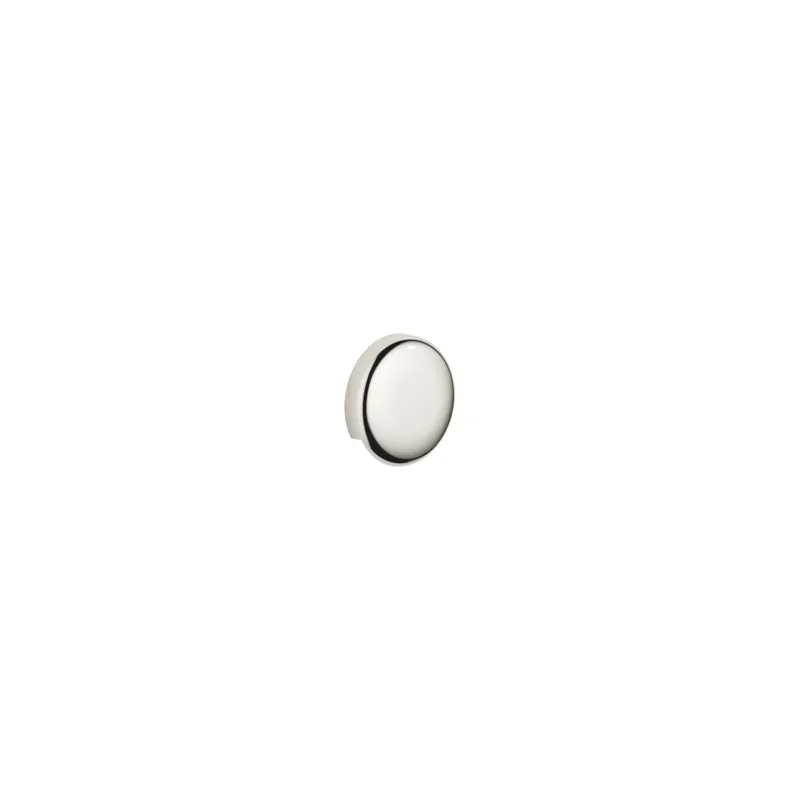 Dornbracht Rohrunterbrecher SERIENNEUTRAL 36150970 Platin
