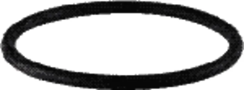 Geberit Gummidichtung zu PE-Steckmuffe 56mm 363.789.00.1