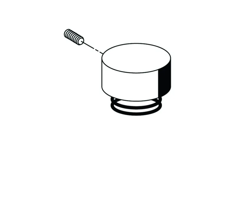 SCHELL Betätigungshaube, Druckfeder für Urinal-Druckspüler BASIC, chrom