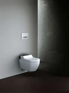 Geberit AquaClean Tuma Comfort WC-Komplettanlage Wand-WC Edelstahl geb. – Bild 3