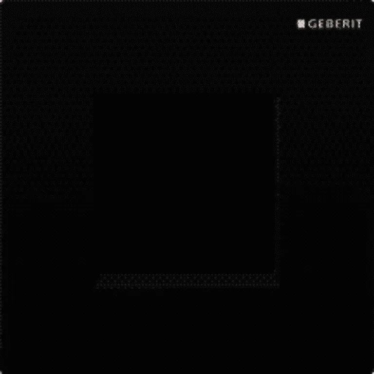 Geberit UR-Strg. mit elektronischer Spülausl. Netz, Abdeckplatte Typ 30 schwarz