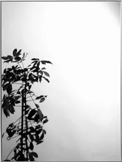 Spiegel rechteckig sanibel 1001 80x60cm ohne Befestigung 8135584