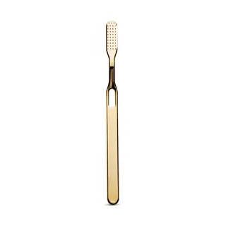 Decor Walther Zahnbürste Duschwanne 896, 0847020 gold