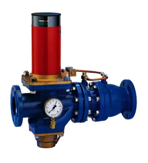 Honeywell Rohrtrenner vollautomatisch mit Flanschen, R295HP-65FA, DN65, 1bar – Bild 2