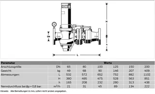Honeywell Rohrtrenner vollautomatisch mit Flanschen, R295HP-65FA, DN65, 1bar – Bild 4