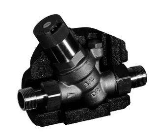 Honeywell Druckm.Hochtemperatur D05FT m Einstellanz ms Schrägsitz A 3/4" – Bild 3