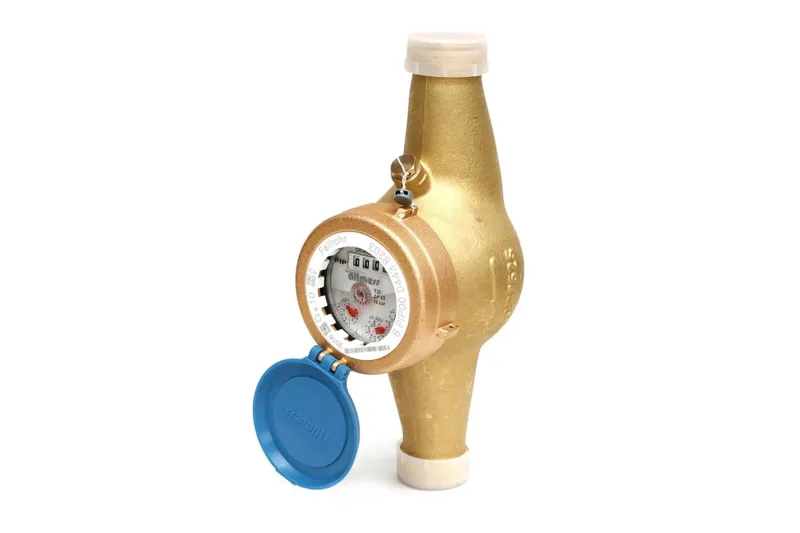 AM Hauswasserzähler Mehrstrahl MNK 20-FR Q3=16 R80H
