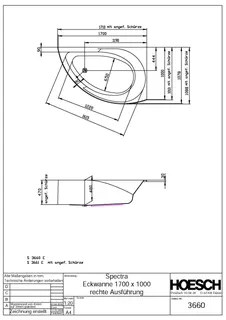 Hoesch Badewanne Spectra Eck 1700x1000 rechts ohne Schürze, Weiß – Bild 2