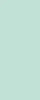 DS WV 11 mm PanElle 1000x2500 224: Mint
