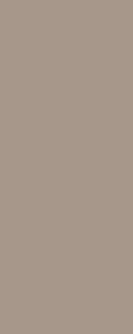DS WV 11 mm PanElle 1000x2500 226: Taupe Metallic