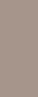 DS WV 11 mm PanElle 1000x2500 226: Taupe Metallic
