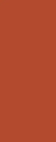 DS WV 11 mm PanElle 1000x2500 228: Burnt Orange