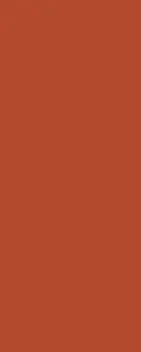 DS WV 11 mm PanElle 1000x2500 228: Burnt Orange