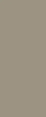 DS WV 6 mm PanElle Objects 1250x2750 graubeige
