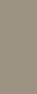 DS WV 11 mm PanElle Objects 1250x2750 graubeige