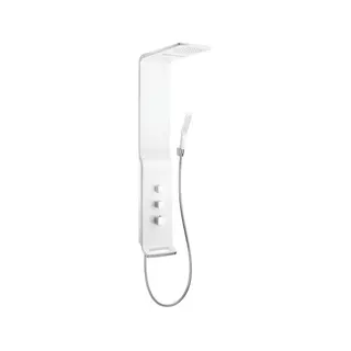 Hansgrohe Duschpaneel Raindance Lift weiss/chrom