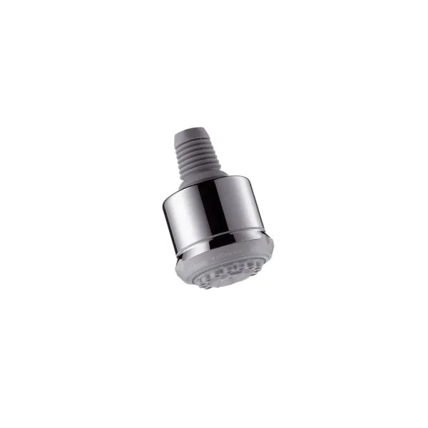 Hansgrohe Clubmaster Kopfbrause mit Quiclean chrom ohne Brausenarm