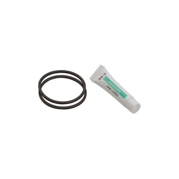 Hansgrohe Dichtset für Allegra linea