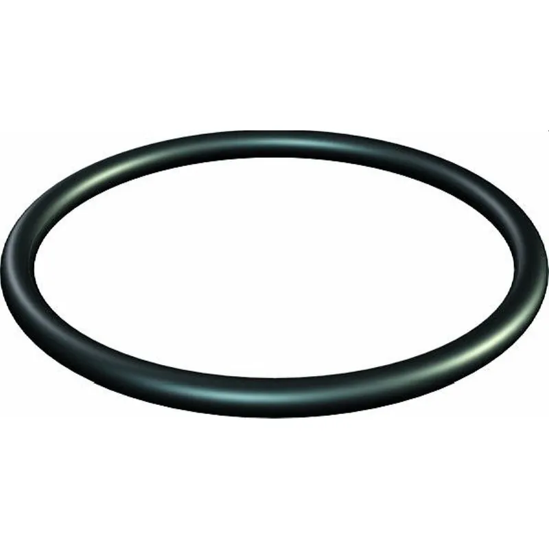 OBO Dichtring 171 M20 O-Ring