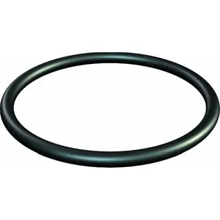 OBO Dichtring 171 M20 O-Ring