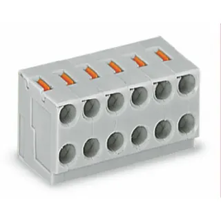 WAGO 2-Leiter-Federleiste Drücker PUSH WIRE® grau 252-105