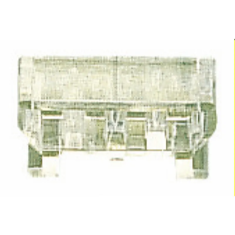 WAGO Adapter transparent 209-125