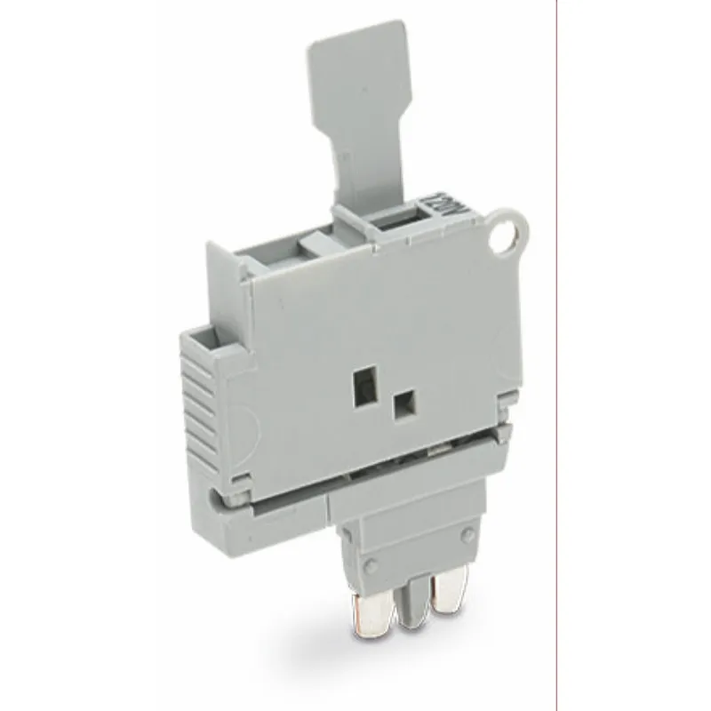 WAGO Sicherungsstecker mit Lasche für G-Sicherungseinsatz 5 x 20 mm grau 2004-911/1000-867