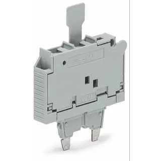 WAGO Sicherungsstecker mit Lasche für G-Sicherungseinsatz 5 x 20 mm grau 2006-911/1000-542