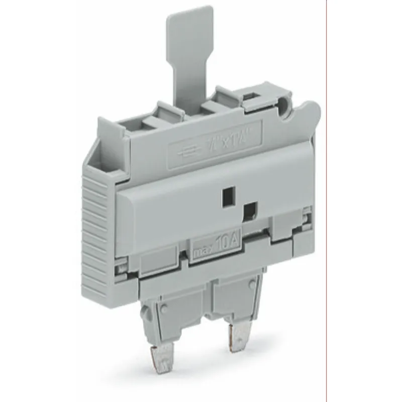 WAGO Sicherungsstecker mit Lasche für G-Sicherungseinsatz ?" x 1?" grau 2006-931/1099-541