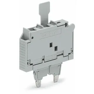 WAGO Sicherungsstecker mit Lasche für G-Sicherungseinsatz ?" x 1?" grau 2006-931/1000-541