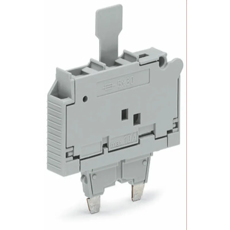 WAGO Sicherungsstecker mit Lasche für G-Sicherungseinsatz 5 x 30 mm grau 2006-921