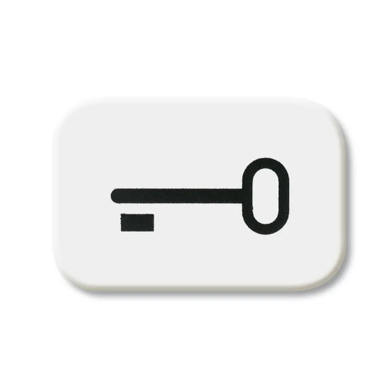 Busch-Jaeger 2525 TR-214 Schluessel Symbol