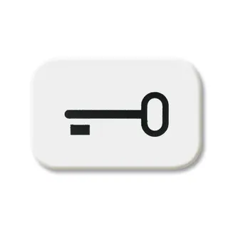 Busch-Jaeger 2525 TR-214 Schluessel Symbol