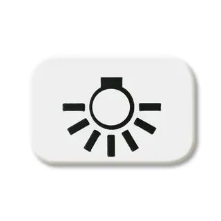 Busch-Jaeger 2525 LI-214 Licht Symbol