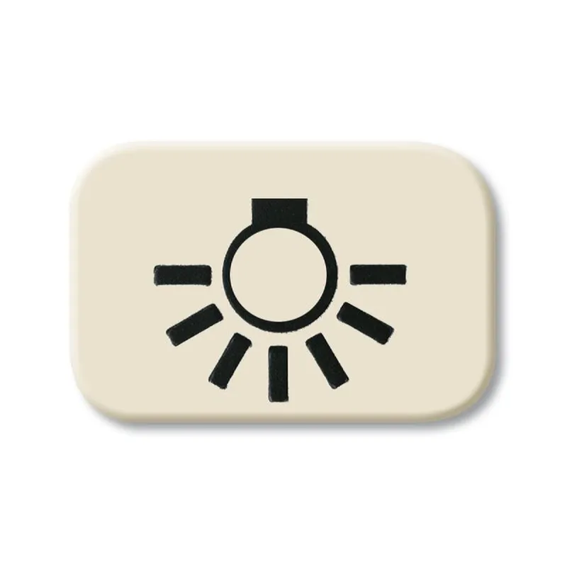 Busch-Jaeger 2525 LI Licht Symbol