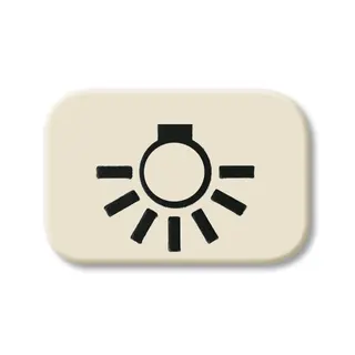Busch-Jaeger 2525 LI Licht Symbol
