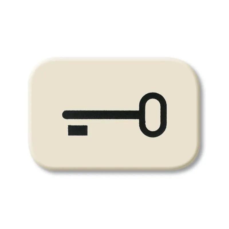 Busch-Jaeger 2525 TR Tuer Symbol