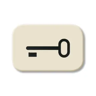 Busch-Jaeger 2525 TR Tuer Symbol