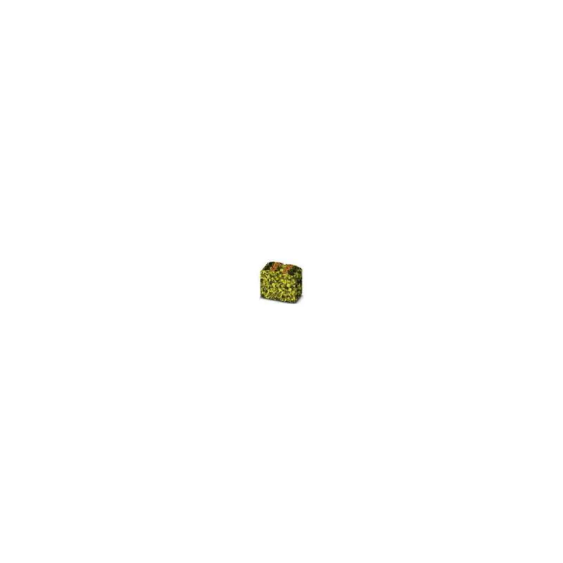 Phoenix Contact Verteilerblock PTFIX 6X2,5-FE