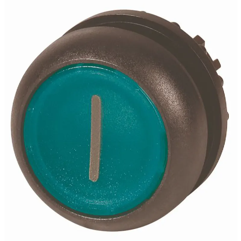 EATON Electric Leuchtdrucktaste 216939M22S-DL-G-X1