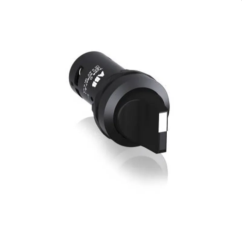 ABB Stotz-Kontakt Wahlschalter C2SS2-10B-10 1SFA619201R1016