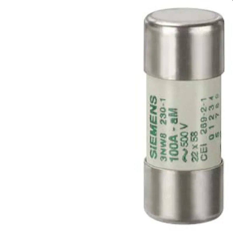 Siemens Zylindersicherung 3NW8205-1