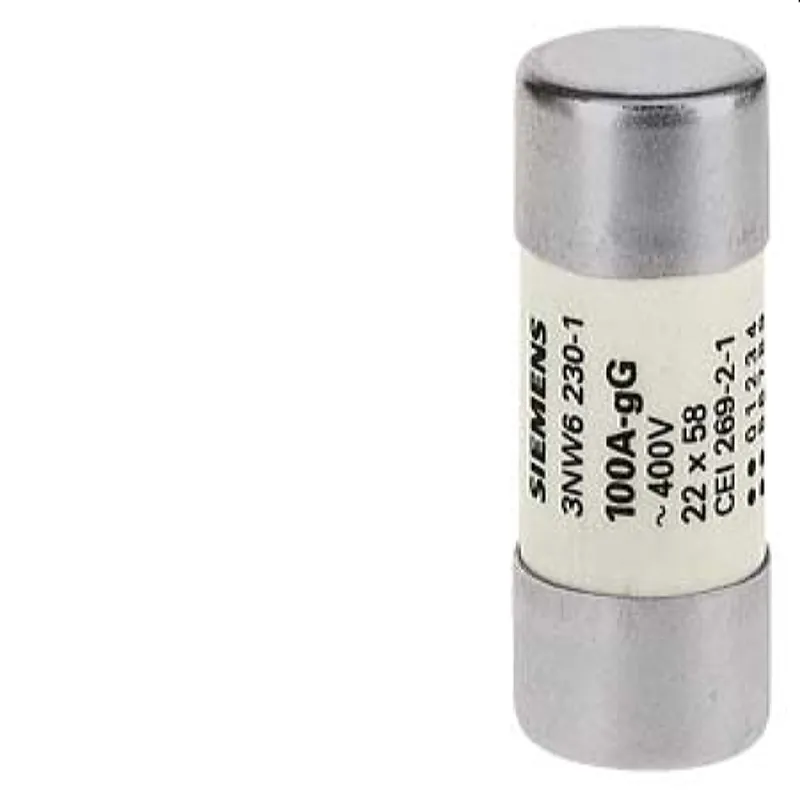 Siemens Zylindersicherung 3NW6217-1