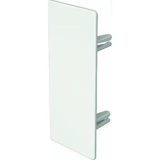 OBO Endstück halogenfrei WDKH-E60150RW 60x150mm reinweiss