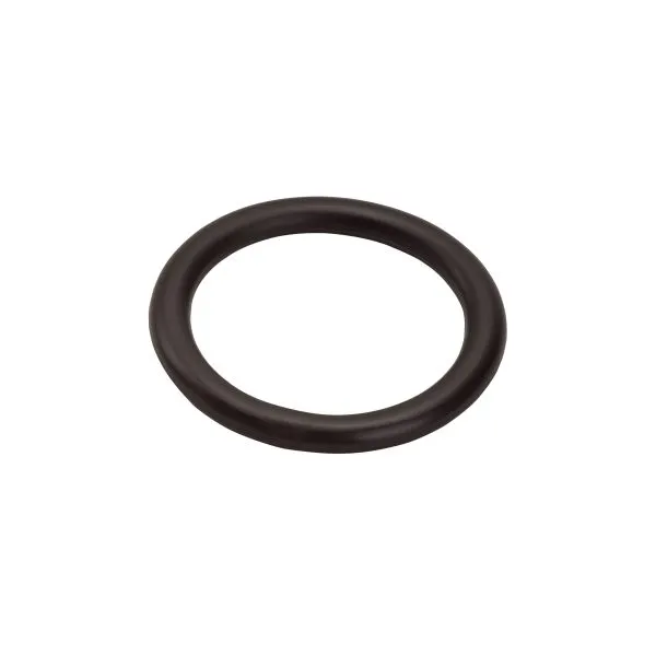 Hansgrohe O-Ring 48 x 7, 25 mm